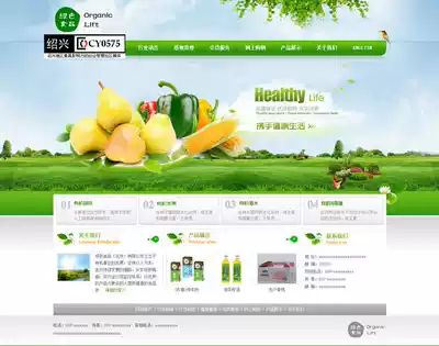 Green food enterprise website template source code HTML food website green product website source code 1068