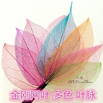 Diamond leaf net leaf vein transparent leaf big flower diy dry flower real flower natural plant teaching specimen