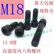 12.9 Ổ cắm lục giác đầu vít cường độ cao / ốc vít khuôn nhựa / đinh vít 3456780 / M18 - Chốt