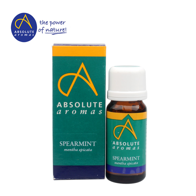 Absolute Aromas/香缇荷兰薄荷/绿薄荷/留兰香 提神/助消化