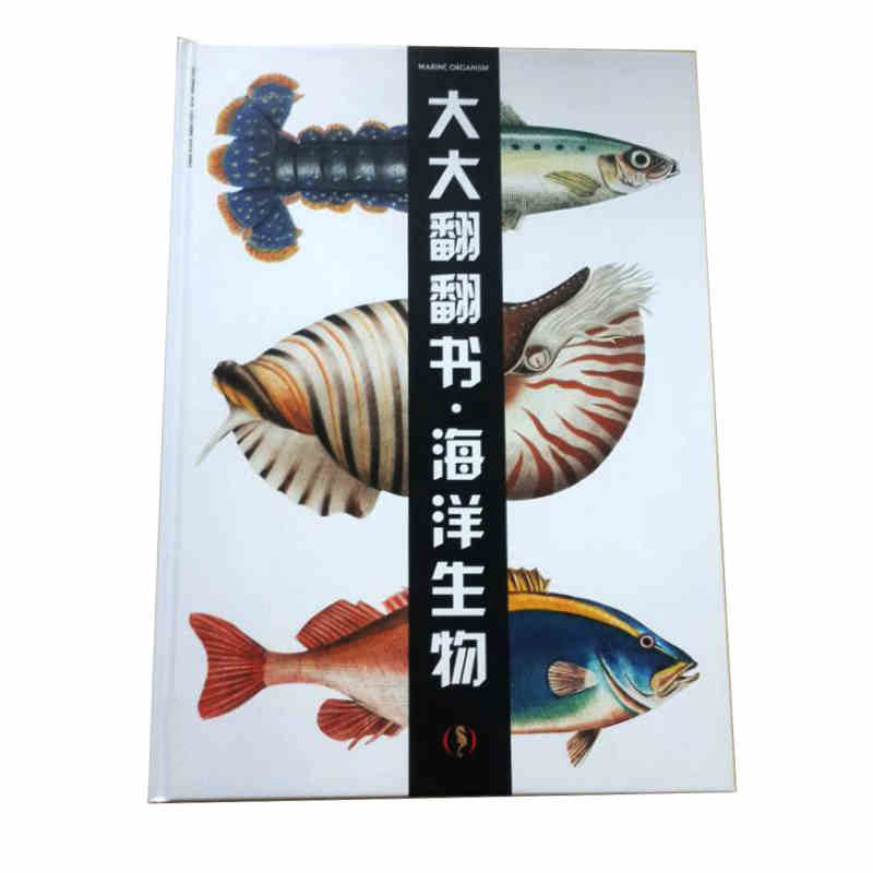 大大翻翻书·海洋生物8开超大开本 家庭亲子互动百科书2-6岁亲子