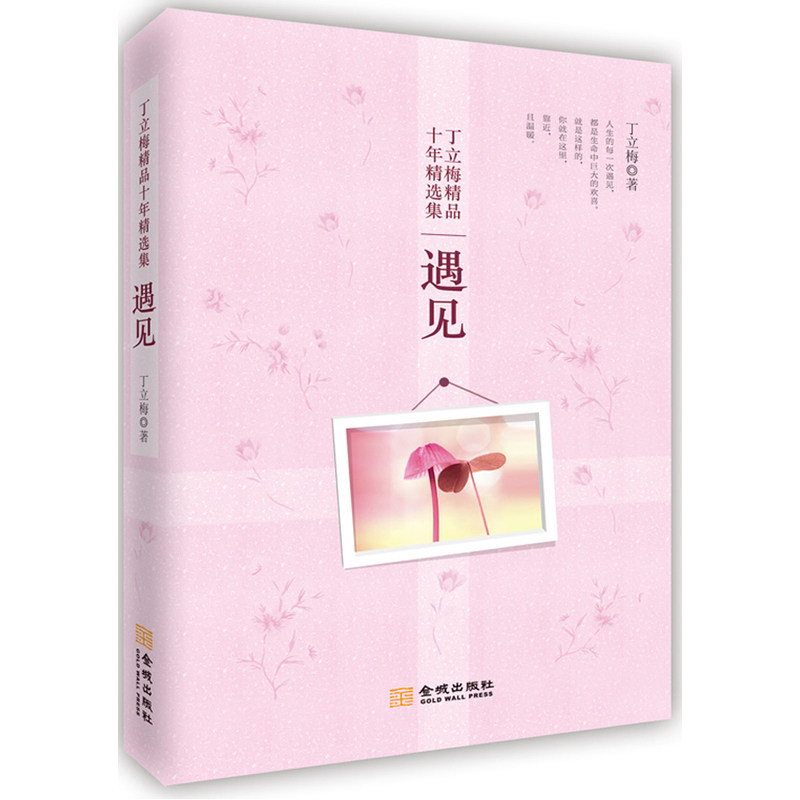 遇见 著名作家丁立梅作品十年精选集 中国现当代随笔 著名青春文学书籍 人生哲学故事 心灵鸡汤 爱好者收藏鉴赏 新华正版畅销书籍