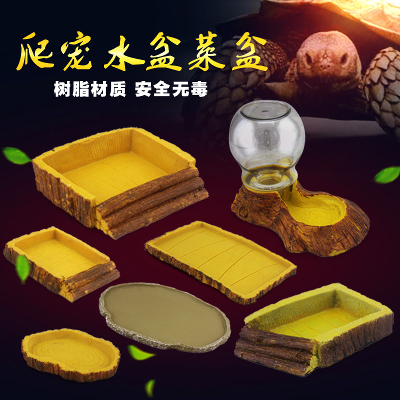 Tortoise basin size, crooked spider, horned tortoise, huang Scorpion Lizard Pet Snake bath