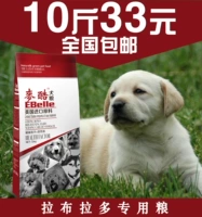 Thức ăn cho chó Labrador thức ăn đặc biệt 5kg10 kg chó trưởng thành chó con chó thức ăn cho chó Tự nhiên chủ yếu là thức ăn chủ yếu royal canin cho chó con