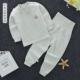 Quần áo cotton màu cho bé Quần eo cao thiết kế quần bụng đặt quần cotton mùa thu quần dài bé trai và bé gái có thể mở đồ lót thời trang trẻ em hàn quốc Quần áo lót