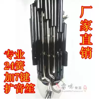 Tianjin Thunder Musical Instrument Professional 24 Reed plus 7-key sound twenty-four springs live bucket curling edge paint performance Sheng Sheng Sheng