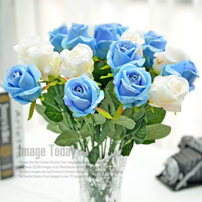 �������õ�廨��ֻ�߽�õ�����