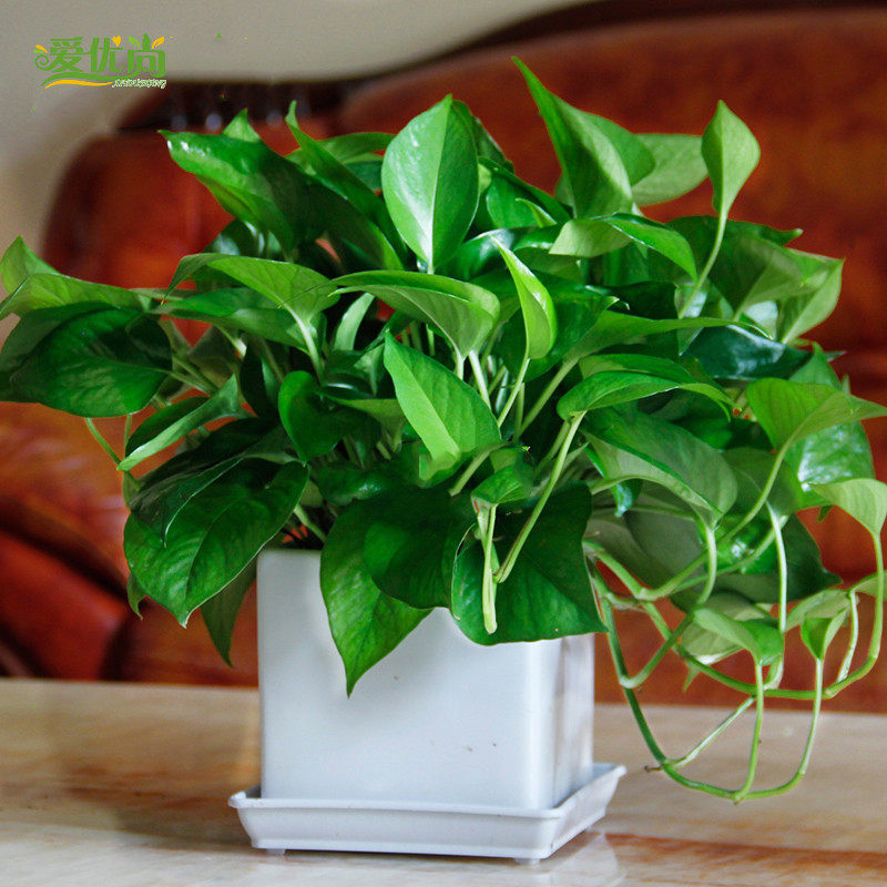 ��������������00001