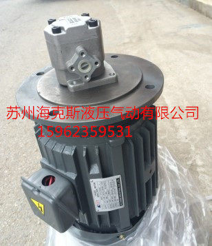 Factory direct hydraulic motor oil pump special motor vertical 5HP 3 7KW with HGP-2A 3A