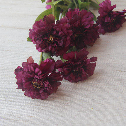 ֪�����滨����ܰ�ɻ�J-205