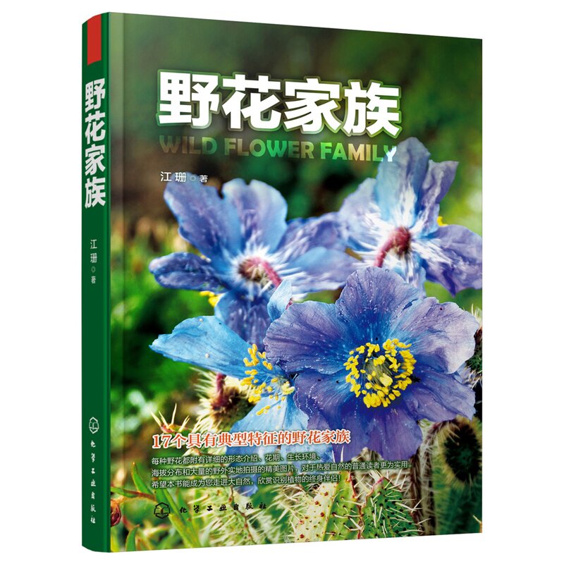 野花家族 正版图书 江珊