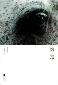正版]约定 丁捷 江苏文艺 9787539972718