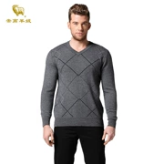 Truy cập với cùng một đoạn cao cashmere áo len mùa thu và mùa đông nam tinh khiết cashmere V-Cổ áo thun áo len áo len