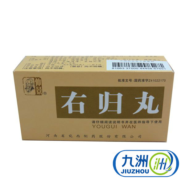 仲景 右归丸 45g*1瓶/盒