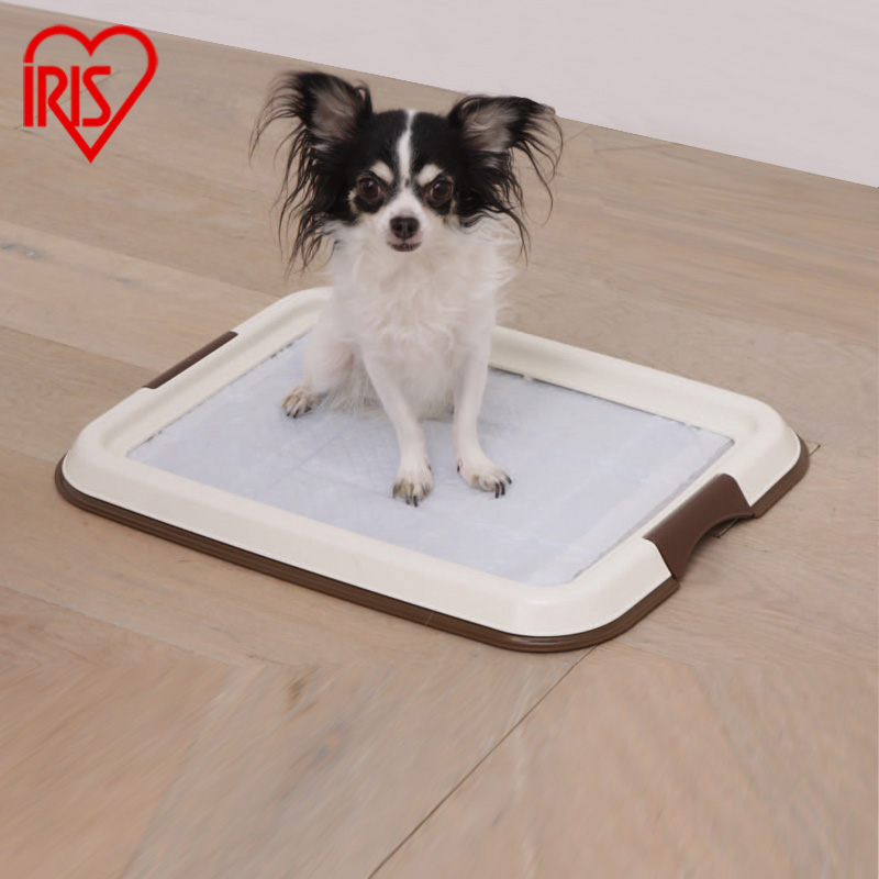 ����˼���ﲻ������С����4905009859160