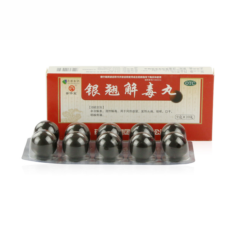 普济堂 银翘解毒丸 9g*10丸/盒