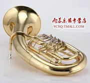 Nhạc cụ bằng vàng Nhạc cụ phẳng trên Euphonium B Hạ thấp Sơn JYEU-E110G Kiểm tra an ninh trực tiếp của nhà máy vàng - Nhạc cụ phương Tây