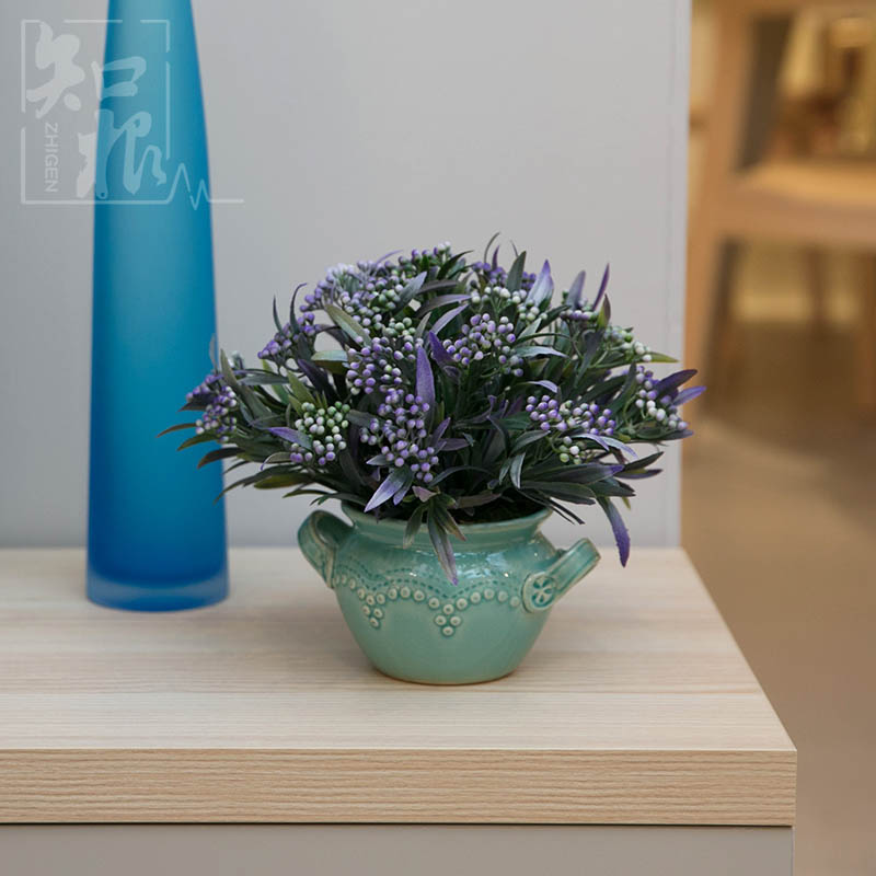 ֪���߷���ֲ�ﻨTZ-356