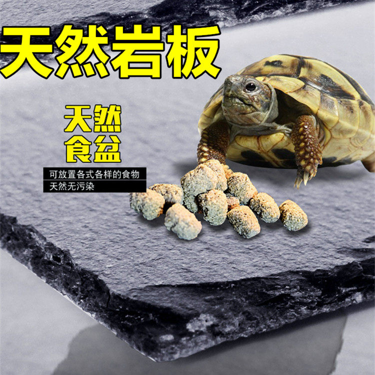 Crawling pet reptile tortoise cushion material original ecological slate food plate food basin moisturizing heat preservation landscaping grinding nail rock slab
