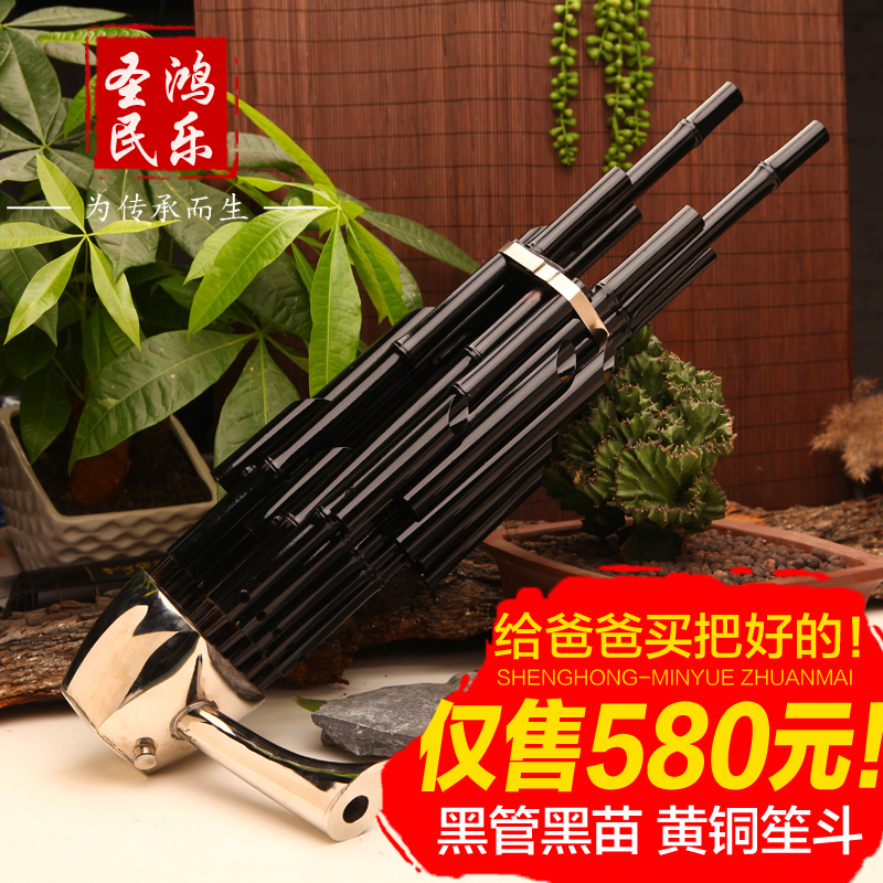 Shenghongsheng Musical Instruments Professional Beginners 14-Reed Fangsheng D-tune B- down E-tone amplification Sheng adult national musical instruments