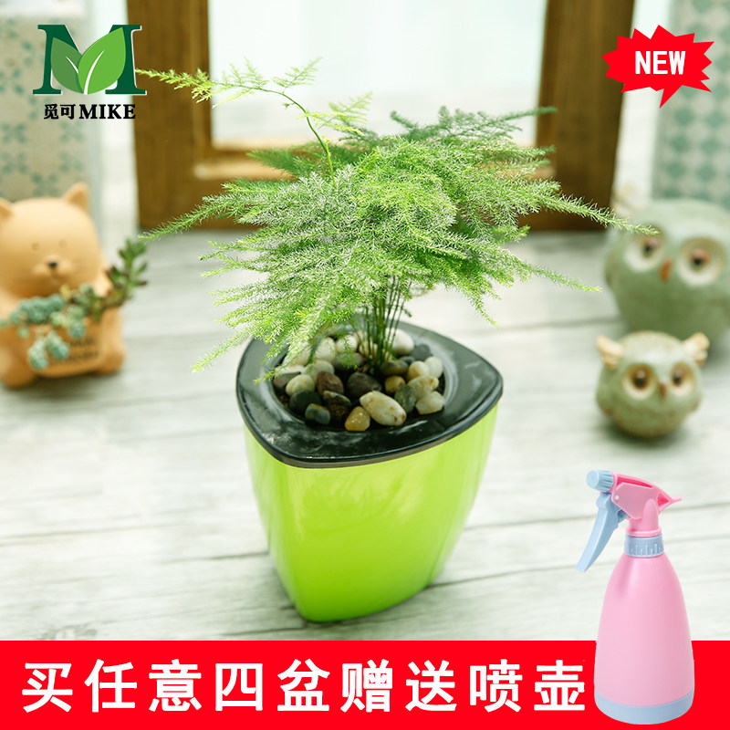 �ٿɳ���������