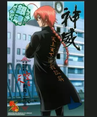 Silver Soul Shenwei 3z Stand Collar Windbreaker Tiger Jacket cosplay Suit