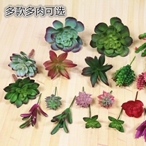 Simulation succulents Simulation green plants Original ecological plant wall Modern simple with flower arrangement with material decoration