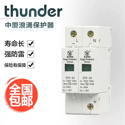 Zhongxia domestic lightning protection arrester switch electric surge protector SPD40KA2P2 pole 220vC grade