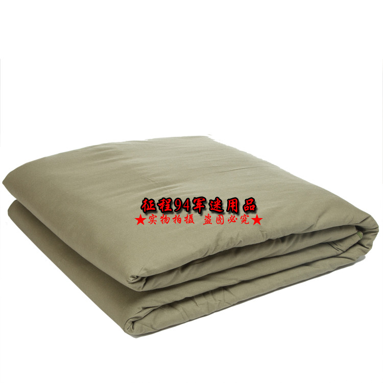 New green cotton is warm in hot melt cotton quilt single student dorm in winter