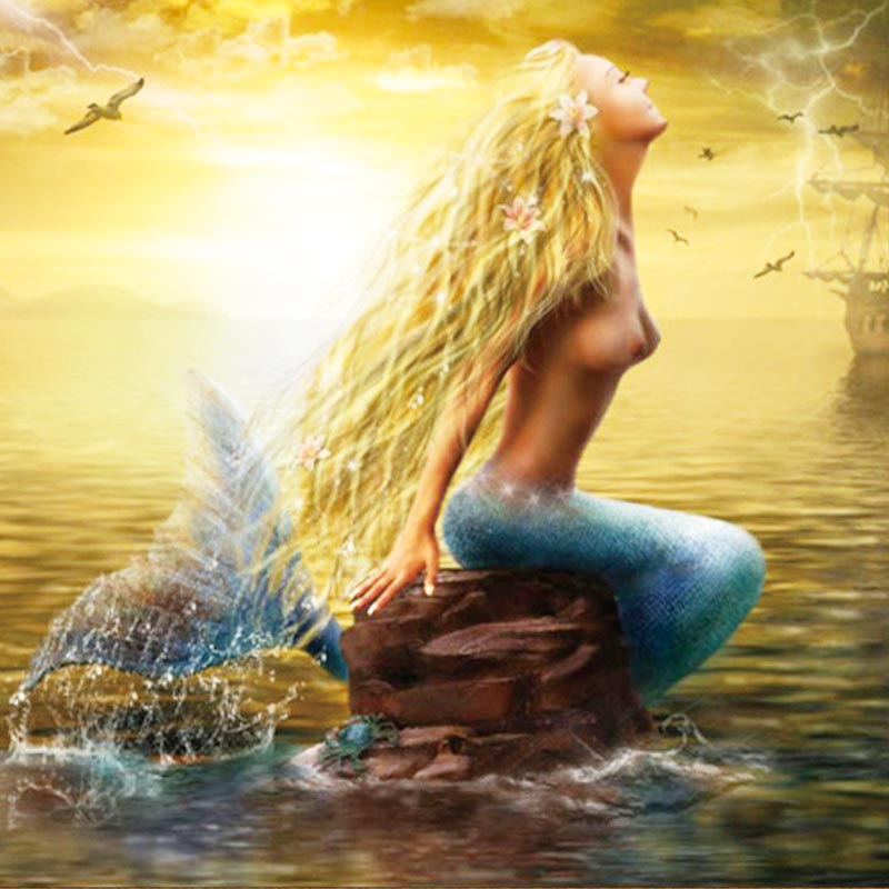 ����������ʮ����AE0032