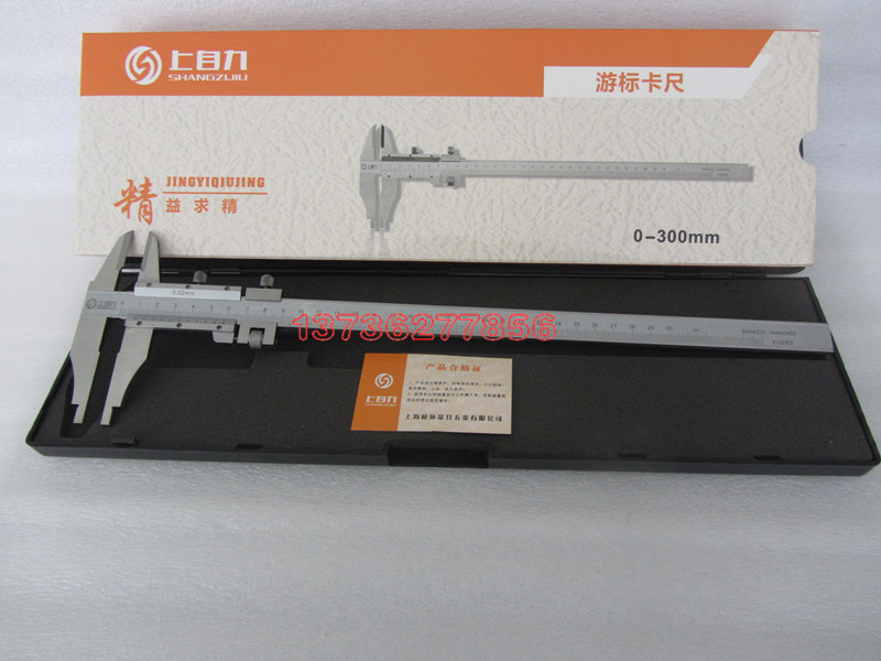 High quality Shanghai Upper Self-Nine Type Cruise Gauge Caliper 0-300mm Precision 0 02 02 Oil Label clip wire nail measurement