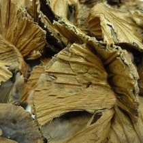 New Chinese medicinal materials pure lotus leaf stalk lotus root lotus root fake ones 10% off 500g 16 yuan