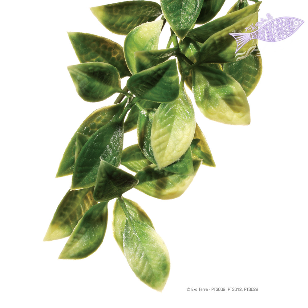 Simulation green plant flower vine leaves vine plant goalkeeper lizard chameleon chameleon drinking plant reptile cylinder building