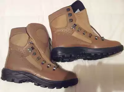 France announces new French Foreign Legion combat brown boots FELIN-GTX-non-counterfeit goods