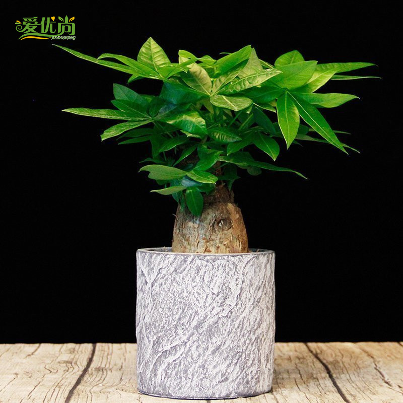 ������С���������Է�����