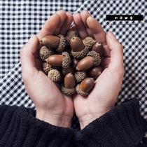 (North Flower Xishe)Acorn decoration handmade dried flower pendant Natural acorn literary and artistic dried flower dried fruit flower arrangement