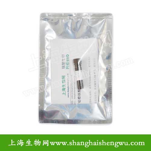 RcView 吖啶橙核酸染料 EB替代品 10mg/ml 100T R04011 核酸电泳