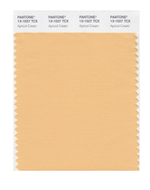 Pantone Pantone Color Card Pantone Flagship Store Clothing Home 13-1009 to 13-1107TCX Cotton Version Single Color Card