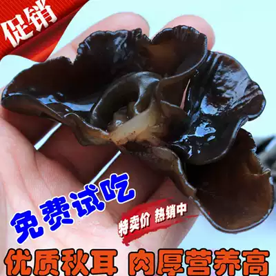 Black fungus Changbai Mountain autumn ear Northeast native black autumn ear fungus 500g autumn ear fungus affordable thick meat