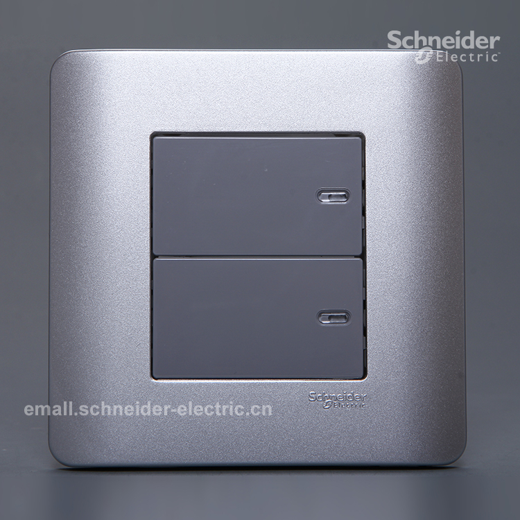 Schneider E8000ZENcelo light point 16A 250V double link single control switch two single (silver grey)