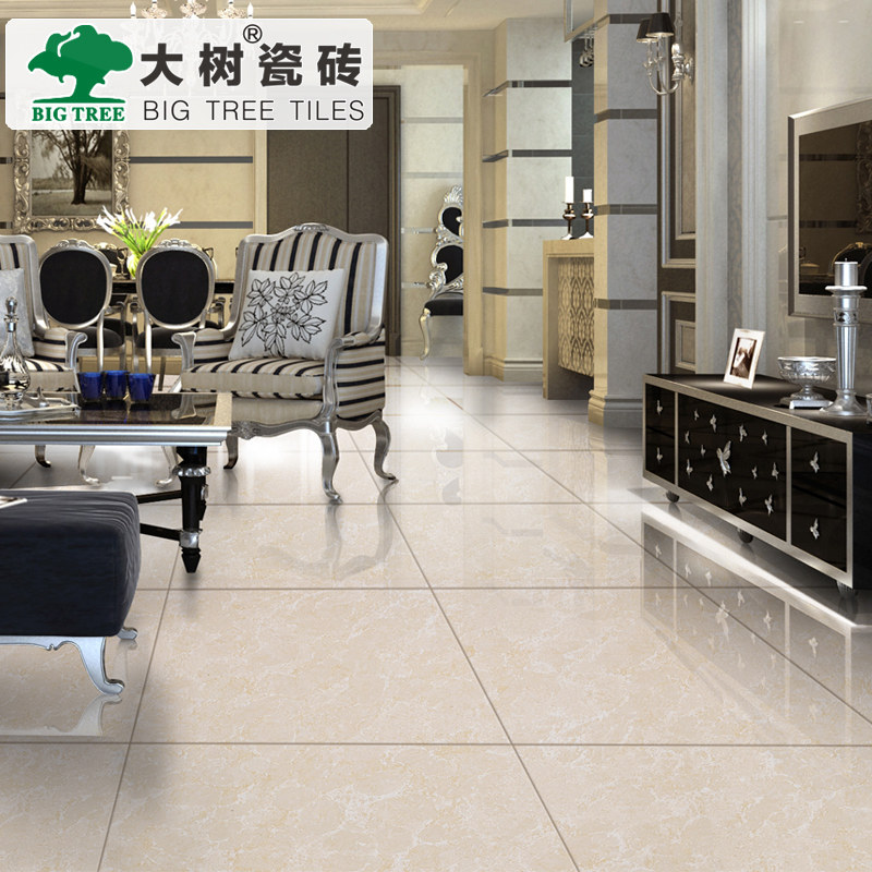 ������Լ�ִ���שDSB8221