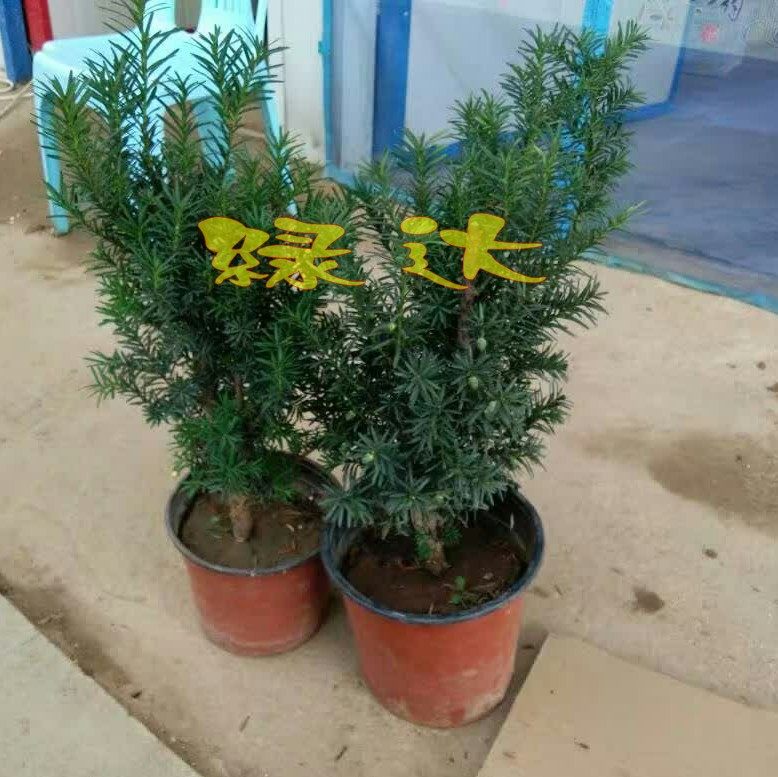 �̴���������hdsgmdp1212