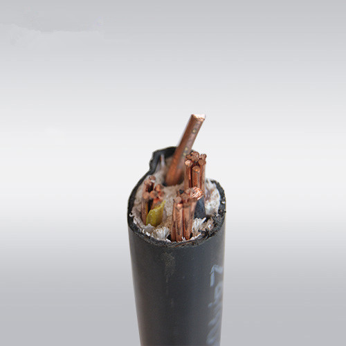 Hangzhou Zhongce brand wire and cable ZRYJV3*10 1*6 square three-phase four-core wire national standard foot rice copper core