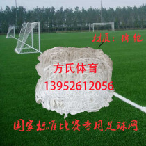 Special price 5-a-side 7-a-side 11-a-side nylon football net football goal net wire thickness 3MM customizable rope net