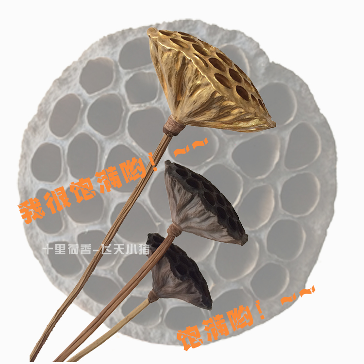 Creative Immortalized flower Iron wire Lotus dried Showerhead Natural dried bouquet Zen living room decoration ornament Floral flowers