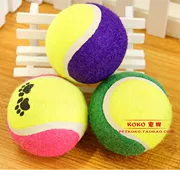 Pet tennis dog đồ chơi bóng tennis mol mol bóng chó đồ chơi mèo đồ chơi vật nuôi