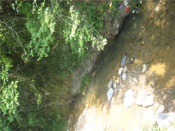 Cooked sandalwood crushed straw pulp to select six-ruler ancient method jade version special net leather Cai's paper zongnchen 8 ratio 2 fur