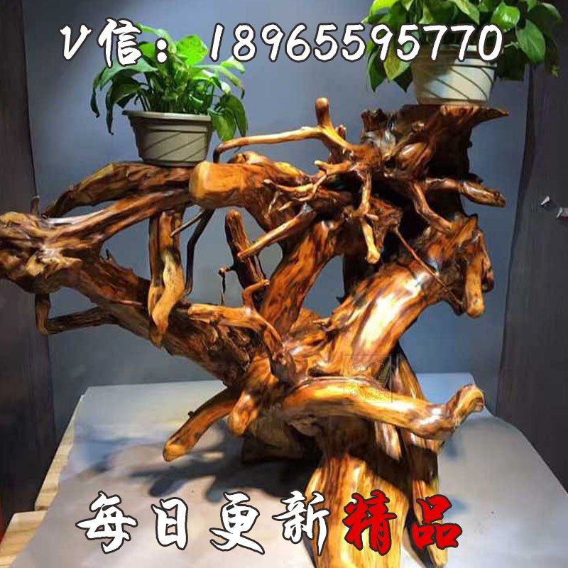 ����̫���°����θ��񻨼�16111204