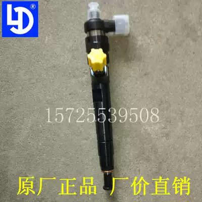 Panther Futian Yuling truck V1V2V5 injector fuel nozzle laido National four electronic injection 480 4L18CF engine