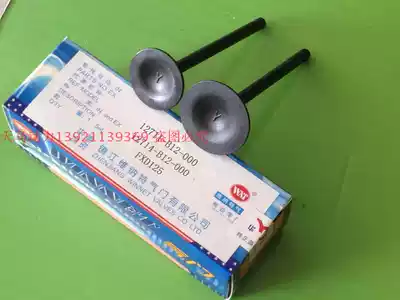 China wild wolf valve RS125 FXD125 Fu Xianda valve Fosti valve original inventory